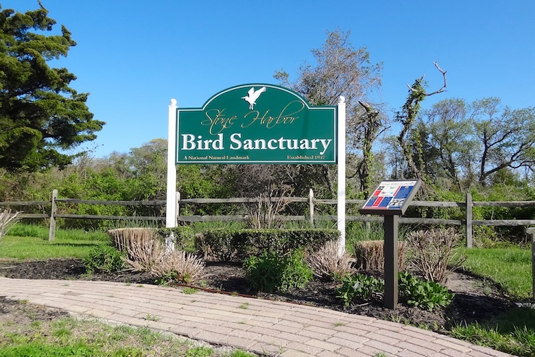 Things To Do Stone Harbor Bird Sanctuary